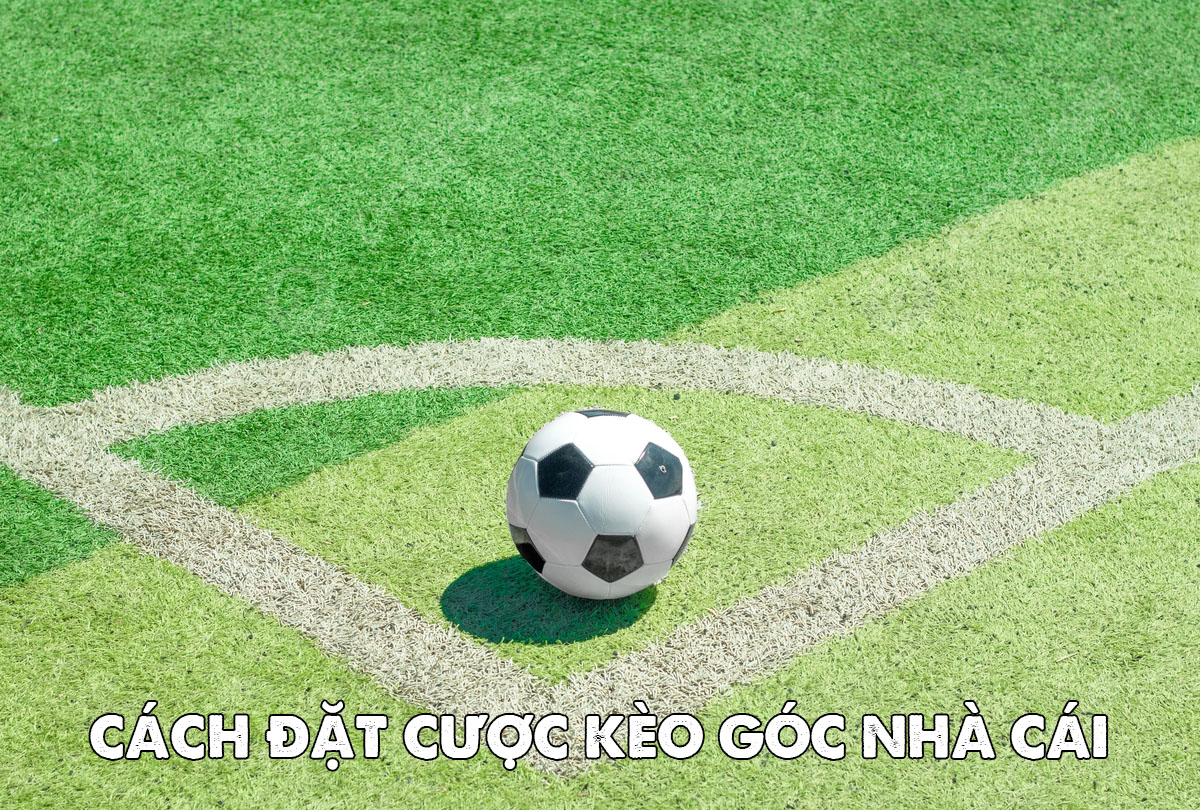 Kèo Góc Nhà Cái: Hướng Dẫn Cách Chơi & Bí Quyết Chiến Thắng 2 Cách đặt cược kèo góc nhà cái chi tiết